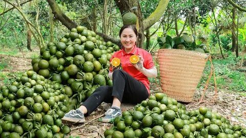 Top 10 trường THPT dễ trúng tuyển lớp 10 nhất TP.HCM năm 2025_Sự kiện Ma trận điểm nóng